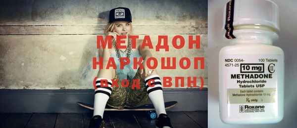 PSILOCYBIN Алзамай