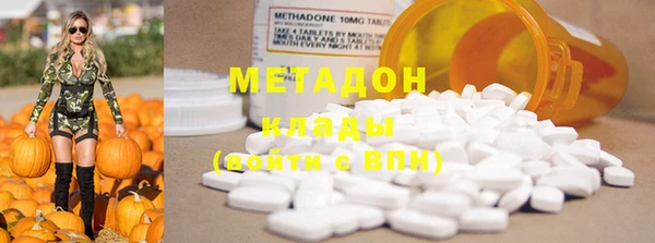 PSILOCYBIN Алзамай
