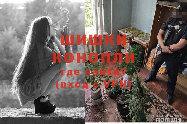 PSILOCYBIN Алзамай